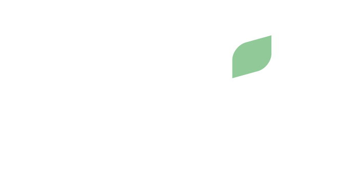 3N